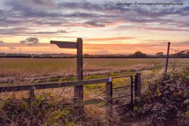 Signpost by Dan Mapes