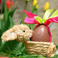 Easter fun at the Royal Oak Downton
