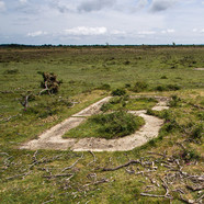 Beaulieu Letters walk from The Turfcutters Arms