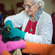 Court Lodge care home in Lymington