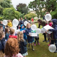 Curious Comedy and Childrens Programmes announced