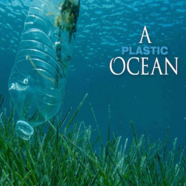 A Plastic Ocean - free screening at Durlston Court School