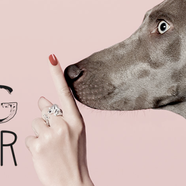 Dog fever - wear your dog on your finger!